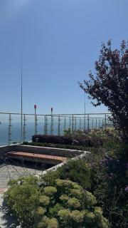 Atmosfera Residential Complex, Arcadia - 4