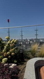 Atmosfera Residential Complex, Arcadia - 2