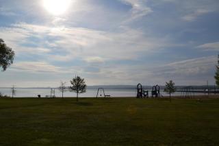 Sweet Cherry "Coral Shutter" - 9