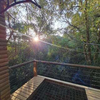 Squirrels Rest Treetop Glamping - 9