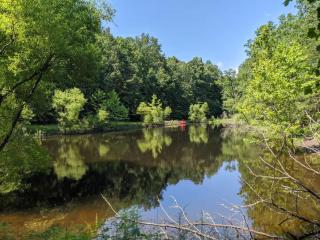 FirePit Deck Grill Screened Porch Trail & More - 4