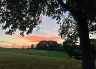 Apartment im Grünen -Garden - 4