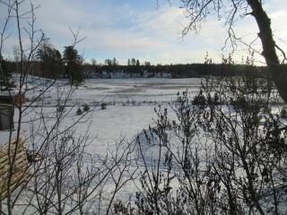 Stuga med bastu i naturen nära Stockholm - 3