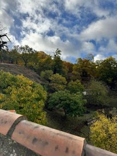 Nuestra Casa Parauta - 8