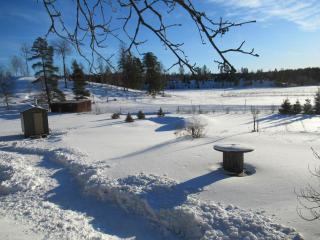 Stuga med bastu i naturen nära Stockholm - 3