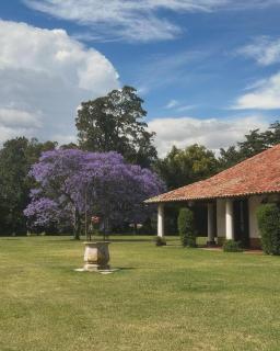 Estancia San Martin Polo club - 6