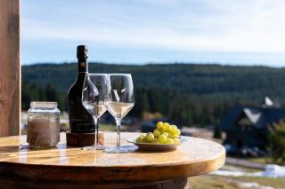 Hotel Vydrovy boudy Pec pod Sněžkou - 3