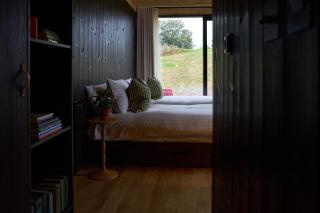 Mad Swans in The Mendips - 8