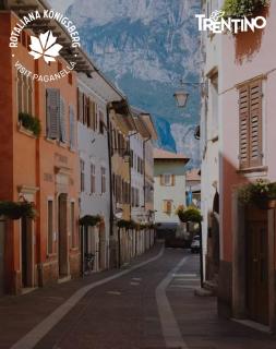 Beb c’est lavis - Lavis - 7