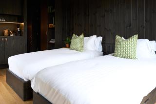 Mad Swans in The Mendips - 5