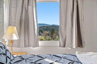 Stowe Condo - 2BR Mtn View in prime location - 5