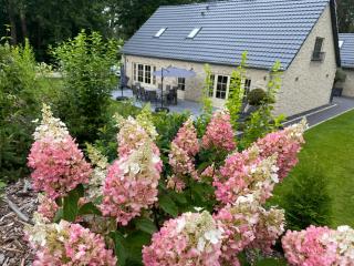 Ferienhäuser Zinke - Krauschwitz - 1