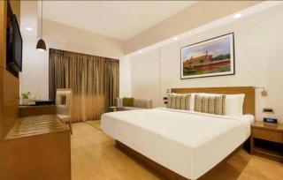 Hotel Red Plaza Near Delhi Airport-Free Airport Transffer - 0