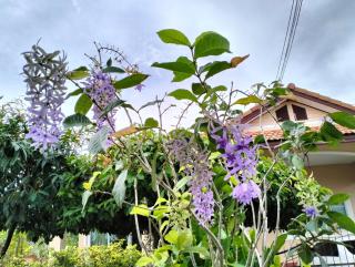 Fasai House at Bang-saray near Nong Nooch Garden - 9