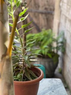 Refúgio Familiar Cristão - Piscina, natureza e paz - 4