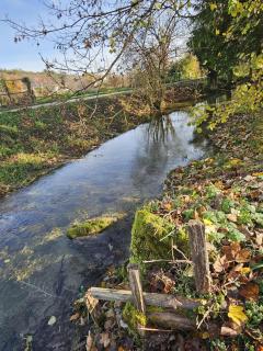 Mon pinot bord de l'eau - 5