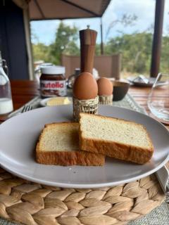 wanyamapori safari lodge - 5