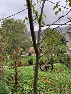 Kendland - Qusar - 0