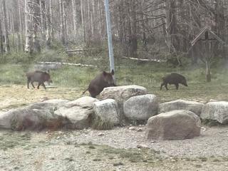 Ferienwohnung Bergblick - 1