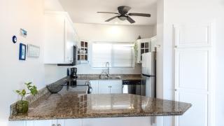 Spectacular 2 BR Oceanview Penthouse - 1