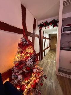 Le cocon du Vieux Colmar - 4