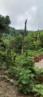 Mirador Jungle El Macuti - 4