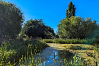 Bright and Trendy 1BDR Canalside Flat in Hackney - London - 7