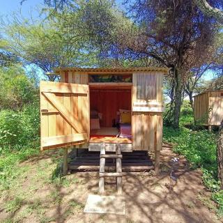 Majimoto Bushpig Camp - 0