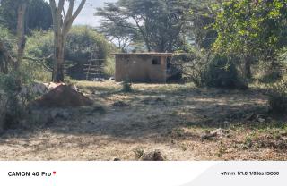 Majimoto Bushpig Camp - 6