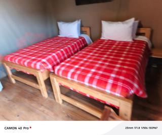 Majimoto Bushpig Camp - 4