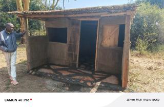 Majimoto Bushpig Camp - 2