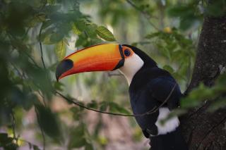 Pousada Flor da Chapada e Operadora de Turismo Chapada Expeditions - 1