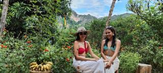 Mirador Jungle El Macuti - 6