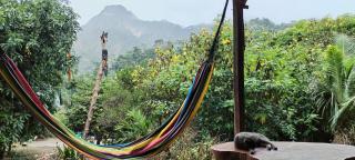 Mirador Jungle El Macuti - 7