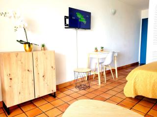 Ti' Vent des Îles - Vue mer, Tartane - 6