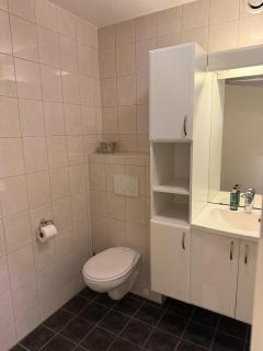 Light & modern apartment at the top of Oslo - 5