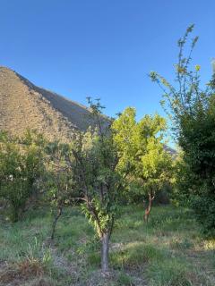 VALLE DEL ELQUI,Diaguitas, Vicuña - 9