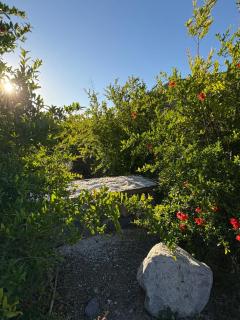 VALLE DEL ELQUI,Diaguitas, Vicuña - 4