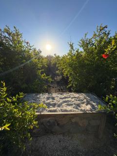 VALLE DEL ELQUI,Diaguitas, Vicuña - 3