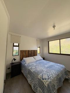 VALLE DEL ELQUI,Diaguitas, Vicuña - 9