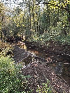 Creekside Cottage, Private, Peaceful, Cozy Escape - 8