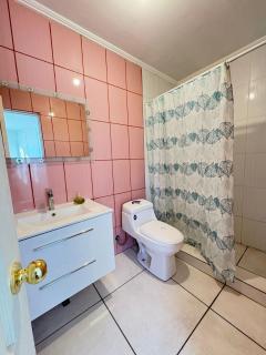 VALLE DEL ELQUI,Diaguitas, Vicuña - 5