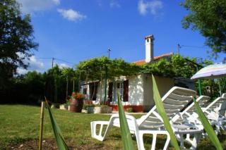 Freistehendes Ferienhaus mit traditionellem Steingrill im weitläufigen, grünen Garten - 8