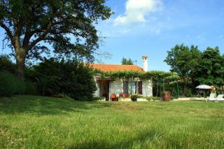Freistehendes Ferienhaus mit traditionellem Steingrill im weitläufigen, grünen Garten - 7