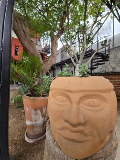 La Casa del Arbol - 4