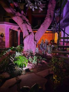 La Casa del Arbol - 3