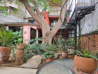 La Casa del Arbol - 6