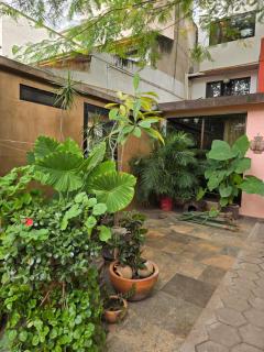 La Casa del Arbol - 7