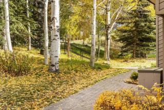 Snow Creek 1541 - Ski-in/Ski-out + Pool & Hot Tub - 1