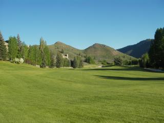 Bigwood B14 - Prime Location + Big Bald Mountain Views! - 2